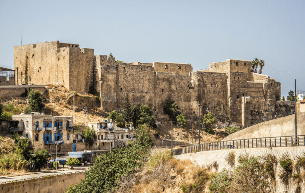 Raimond - Citadelle.png